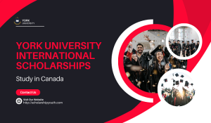 York University International Scholarships