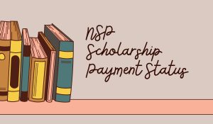 NSP Scholarship Payment Status